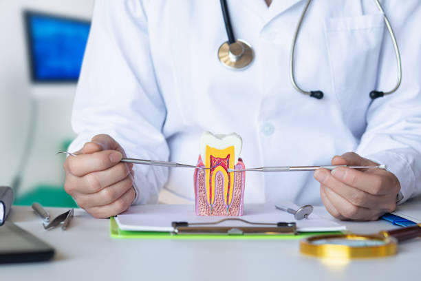 Best Emergency Dental Care for Trauma or Injury in Bonney Lake, WA